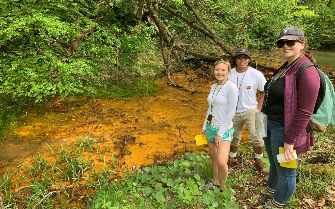 Water Quality in the Shenandoah Valley