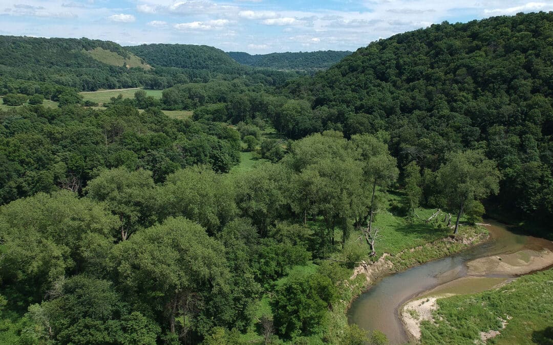 Springs in the Driftless Area of Minnesota