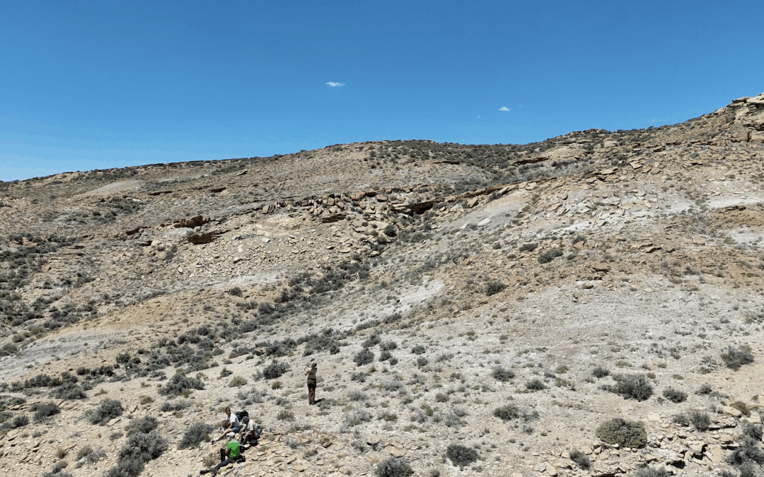 Late Cretaceous Ecosystems of Wyoming 