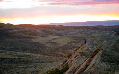 Assessing vegetation and fluvial responses to the PETM