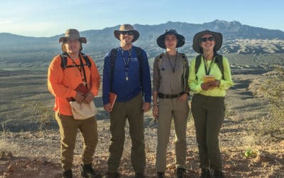 Nevada 2018-19 Project Spring Update