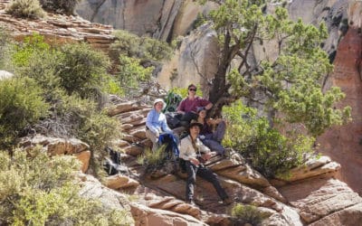 Utah 2018-19 Project Spring Update